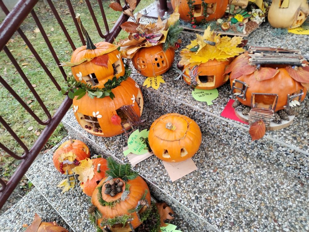 Nejnovější fotografie