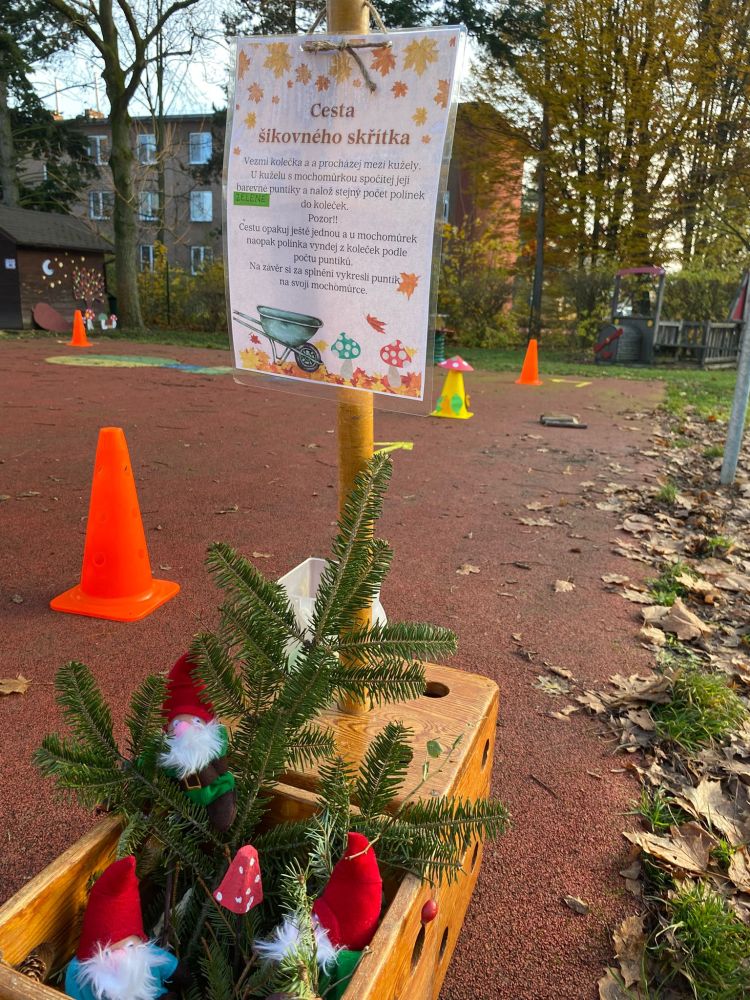 Nejnovější fotografie