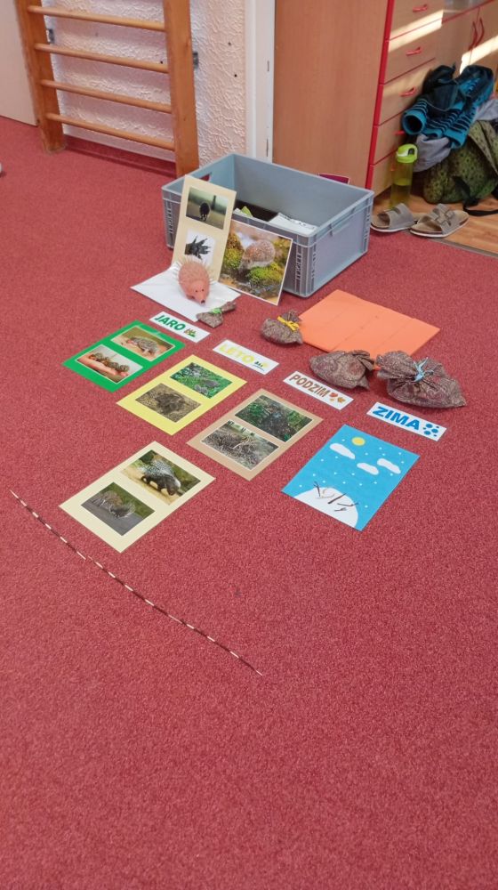 Nejnovější fotografie